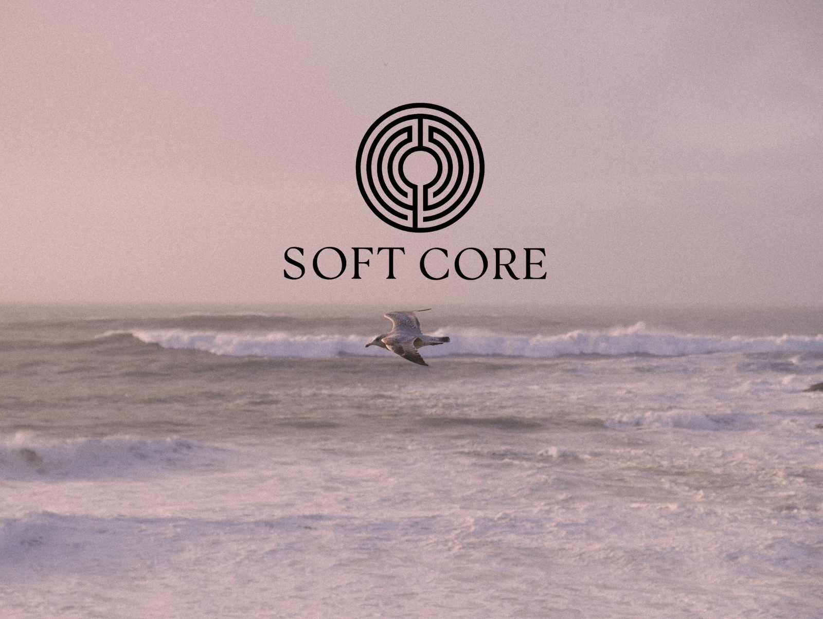 Greyscale Photo Finance Coach Facebook Cover (1920 x 1080 px)-8